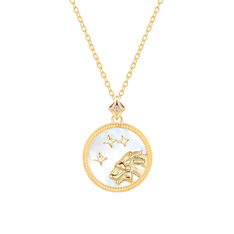 Löwe Sternzeichenkette aus 925 Sterling Silber mit Perlmutt und Zirkonia, runder Anhänger mit Löwenkopf und Sternenmotiv